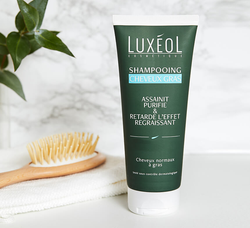 shampooing-haar-fett