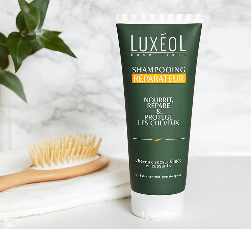 shampooing-repair